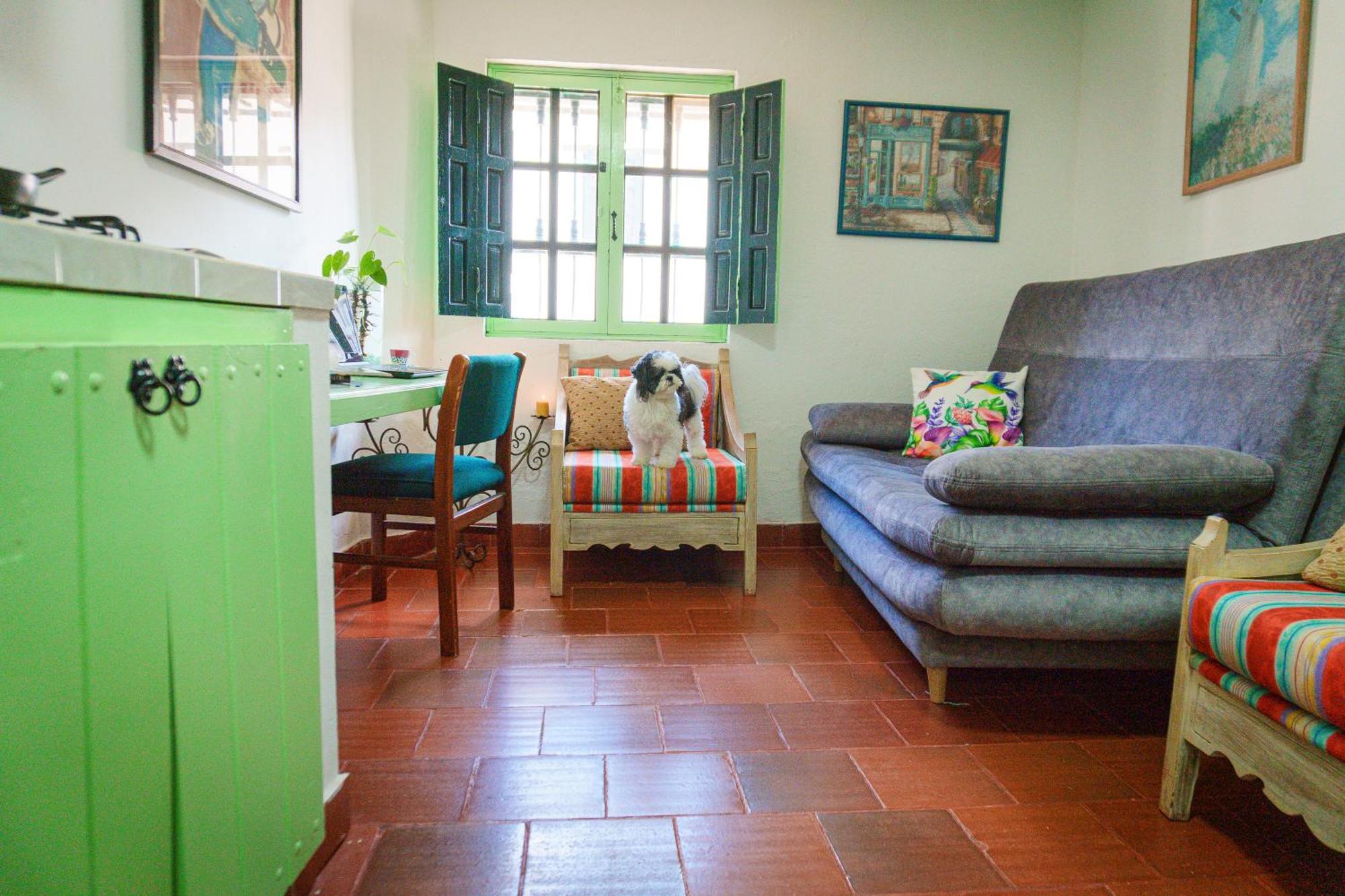 Apartamentos Y Habitaciones Le Colibri - Villa De Leyva Eksteriør bilde
